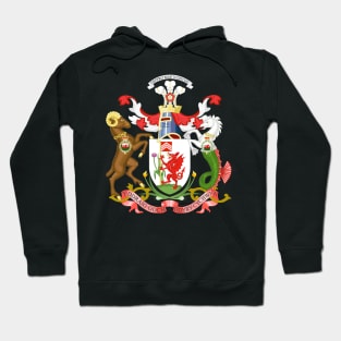 Cardiff Coat of Arms Hoodie